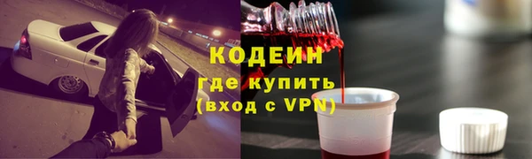 прущие грибы Заволжск